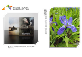 平面设计 作品集目录  极简风