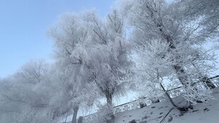 冬日雾凇美景