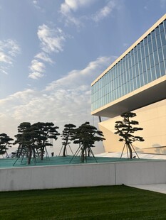 现代建筑旁的绿树景观