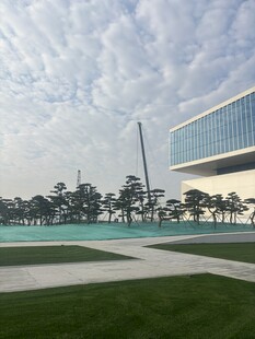 现代建筑旁的开阔绿地景观