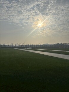 田野晨光下的宁静风景