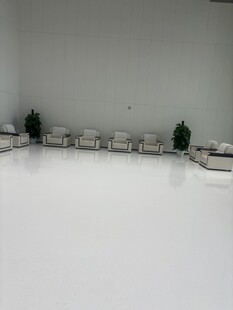 室内白色空间与绿植摆件