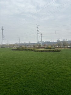 广袤田野与远处输电塔