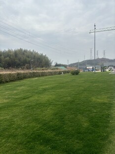 广袤绿草地与远处设施