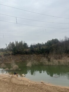 乡村宁静水塘与周边景致