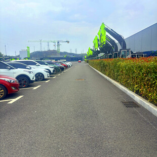 停车场中的多彩车辆