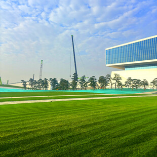 绿茵场地与现代建筑景观