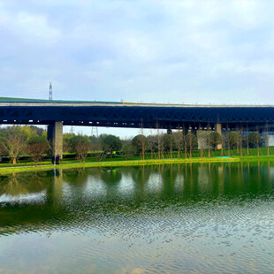 高架桥畔的静谧水域