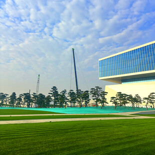 现代建筑旁的开阔绿地景观