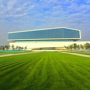 现代建筑前的翠绿草坪