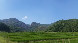 青山绿野间的田园风光