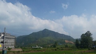 青山绿树间的乡村景致