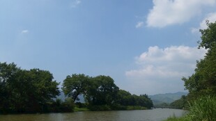 河畔绿树蓝天美景