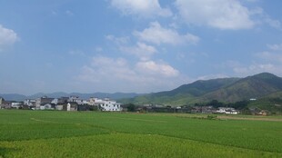 田园风光 绿野与远山
