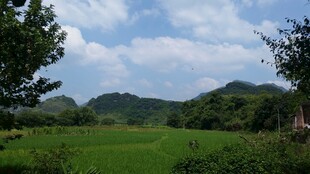 田园绿野风光
