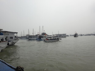 港口停泊船只景象