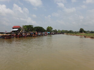 河岸人群聚集的水域景象