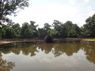 越南静谧池塘边的葱郁树林