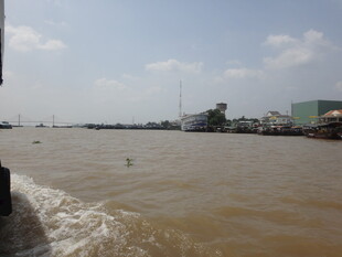 越南江边浑浊水域景象
