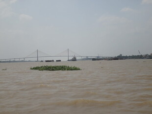 越南浑浊江面与远处输电设施