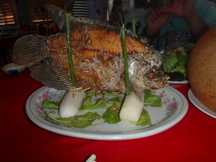 烤全鼠美食展示