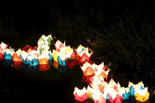 水面漂浮的多彩纸灯笼