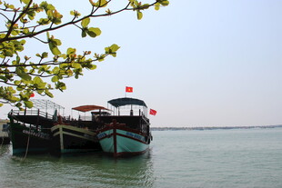 江边停泊的船只与绿树