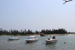 湖畔停泊的几艘小船