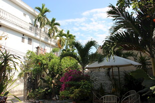 庭院绿植景观 清新自然