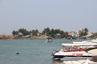 海滨码头停泊的多彩船只
