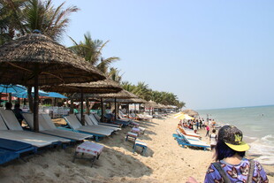 热带风情海滩休闲场景