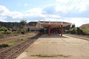 越南乡村庭院 宁静田园风光