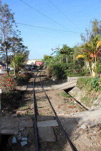 越南废弃铁轨旁的自然景致