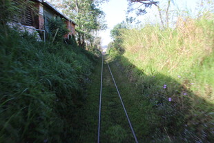 越南山间铁轨穿行于葱郁草木间