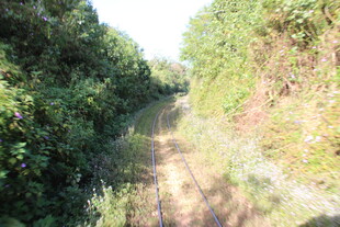 越南林间延伸的铁轨