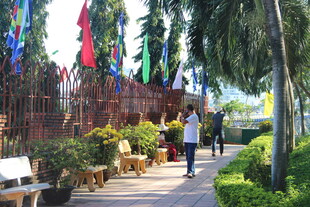 越南花园小径漫步赏多彩旗帜