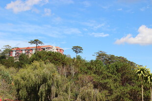 越南山顶红顶建筑隐于绿树