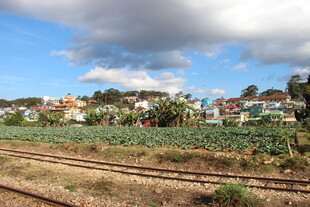 越南田园风光中的铁轨与绿植