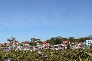 越南美丽村庄风光