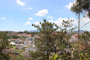 越南俯瞰绿树环绕的美丽景致