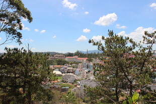 越南俯瞰绿树环绕的城镇风光