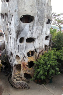 越南奇特孔洞大树与周边绿植