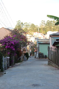 越南宁静小巷中的多彩景致