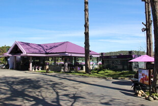 越南乡村小店的宁静日常