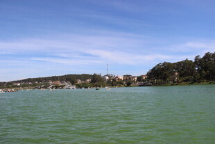 越南湖畔风光 绿意盎然的景致