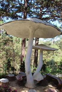 越南林中巨型蘑菇雕塑