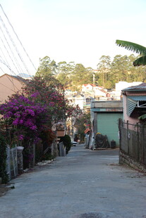 越南宁静乡村小巷日常景象