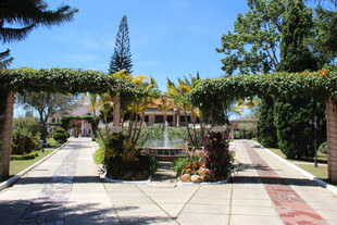 越南花园藤蔓拱门景观