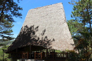 越南传统茅草屋 自然中的建筑