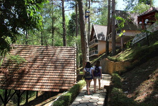 越南林间小径上的徒步者